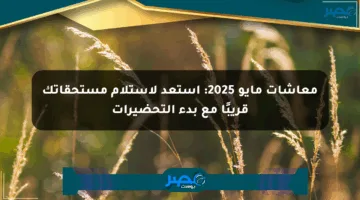 معاشات مايو 2025: استعد لاستلام مستحقاتك قريبًا مع بدء التحضيرات